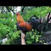 slippedandfell7